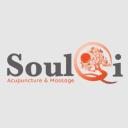 Soulqi Acupuncture & Massage logo